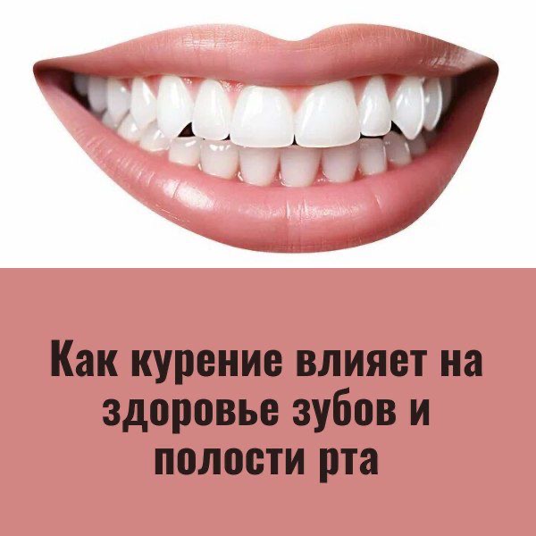 2c447f4f-5f4e-4e55-ac65-8c5e738c8c37